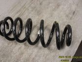 Rear coil spring