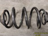 Feder hinten