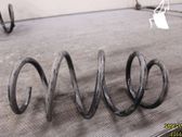 Rear coil spring
