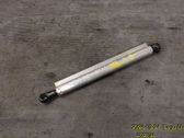 Verkleidung Verdeck Hardtop