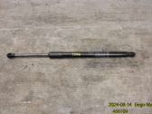 Front bonnet/hood damper/strut