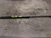 Front bonnet/hood damper/strut