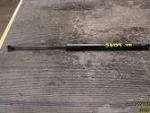 Front bonnet/hood damper/strut
