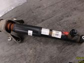 Rear shock absorber/damper