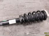 Front shock absorber with coil spring