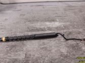 Tailgate strut