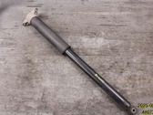 Rear shock absorber/damper