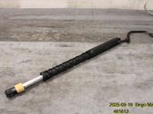 Tailgate strut