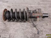 Front shock absorber with coil spring