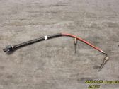 Sensor de temperatura del escape