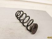 Rear coil spring