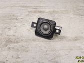 Front door speaker