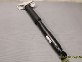 Rear shock absorber/damper