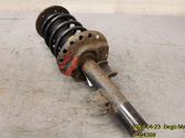 Front shock absorber with coil spring