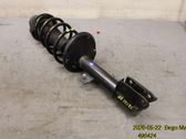 Front shock absorber with coil spring