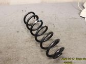Rear coil spring