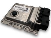 Engine control unit/module ECU