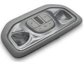 Central body control module