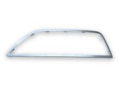 Grille antibrouillard avant