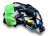 Other wiring loom