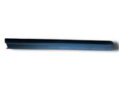 Fender trim (molding)