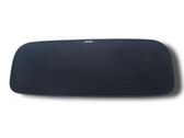 Fender trim (molding)