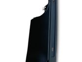 Fender trim (molding)