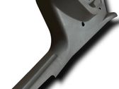 Fender trim (molding)