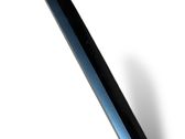 Fender trim (molding)