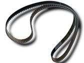 Alternator belt