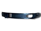 Fender trim (molding)