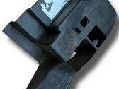 Fender trim (molding)