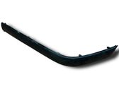 Fender trim (molding)