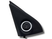 Panel speaker