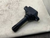 Botón interruptor de luz de peligro