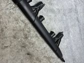 Fender trim (molding)