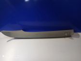 (A) pillar trim