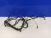 Other wiring loom