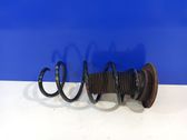 Front coil spring