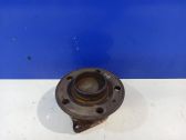 Rear wheel hub