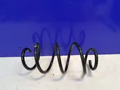 Front coil spring