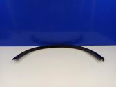 Fender trim (molding)