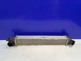 Intercooler radiator