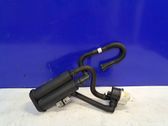 Active carbon filter fuel vapour canister