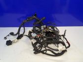 Engine installation wiring loom