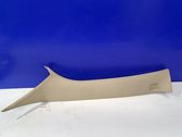 (A) pillar trim