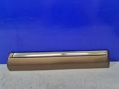 Front door trim (molding)