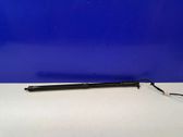 Tailgate/trunk strut/damper