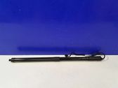 Tailgate/trunk strut/damper