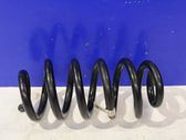 Muelle espiral trasero